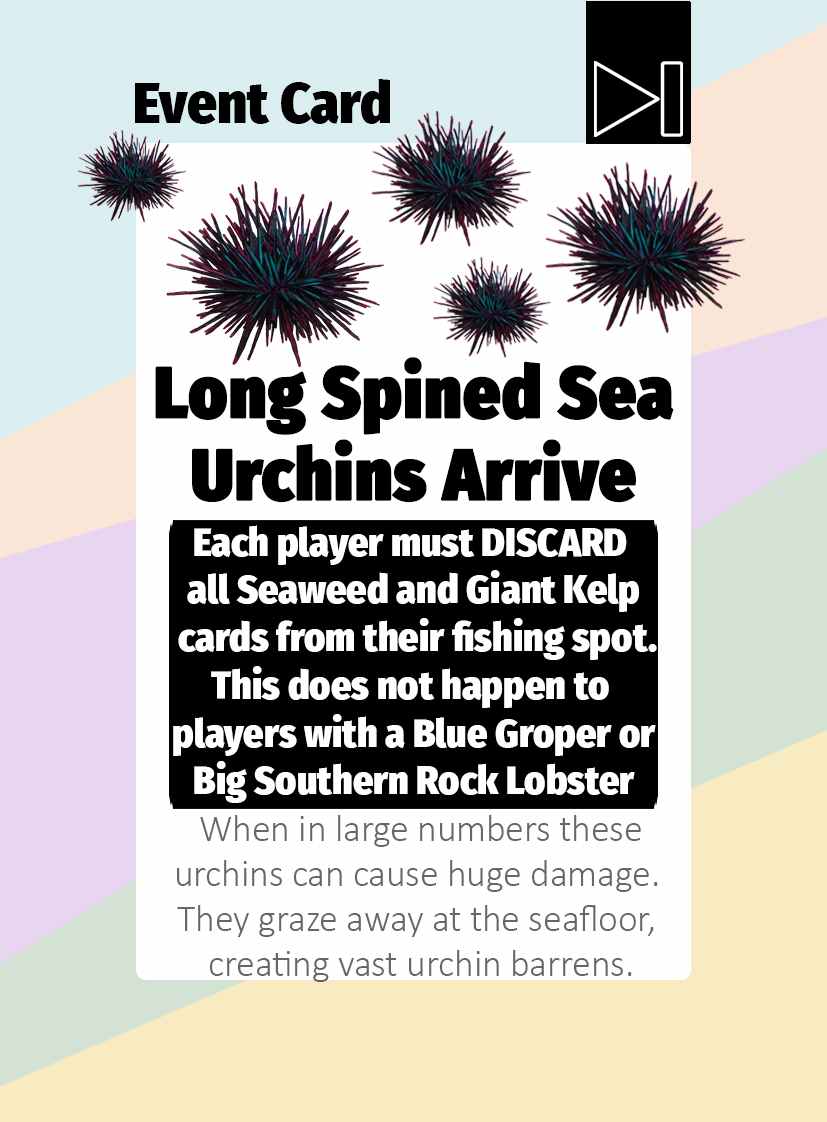 Urchins arrive